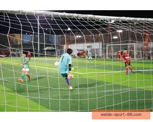 探索伟德平台体验与服务质量全面评测分析